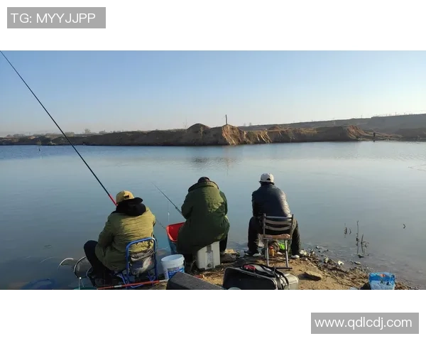 足球钓鱼的奇妙结合探讨如何在绿茵场上享受钓鱼的乐趣与激情